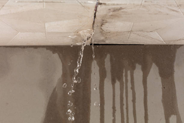 Professional Burst Pipe Cleanup technician working in Roosevelt, WA